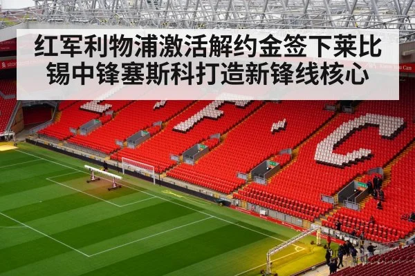 红军利物浦激活解约金签下莱比锡中锋塞斯科打造新锋线核心
